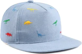 Peecabe Toddler Baseball Hat Novelty Boy Girl Sun Cap Flat Brim Kid Baseball Hats 6M-8Y